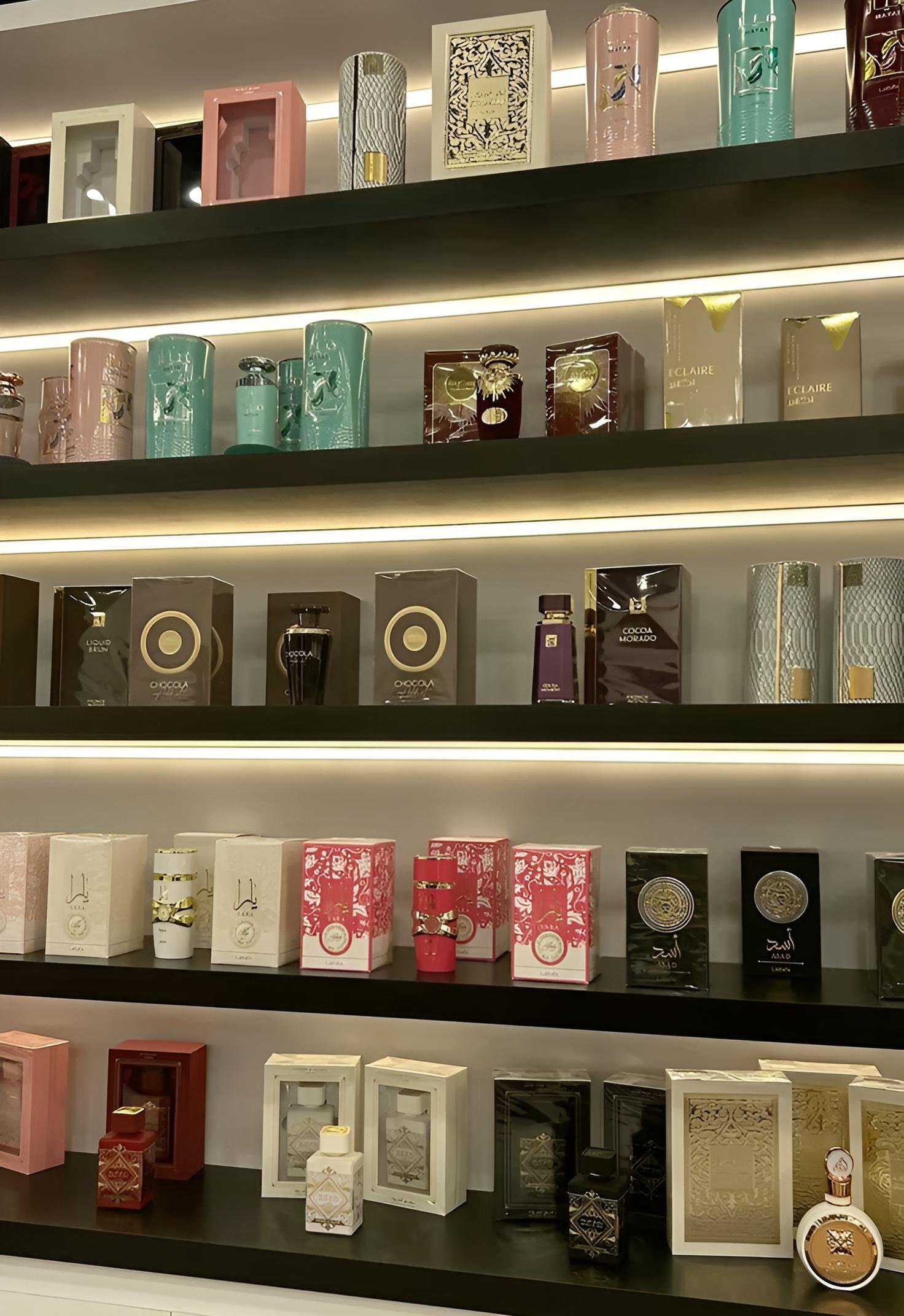 About 268d4d791ca2c41a60d0632a71c6a0f6 fotor enhance 20260330224458